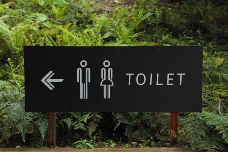 Let's Talk Toileting